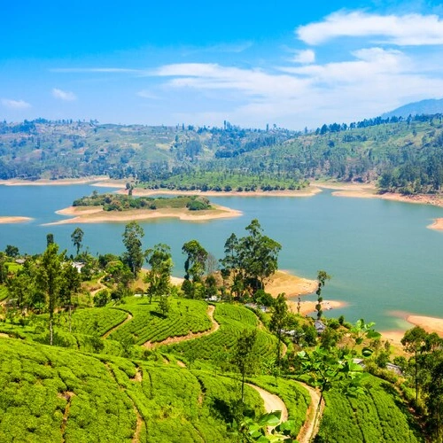 SRILANKA 9