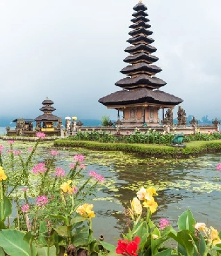 bali 5