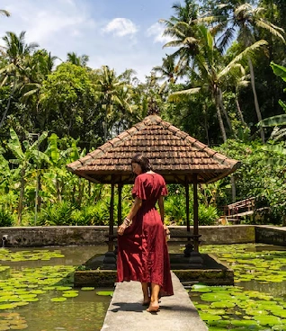 bali 6