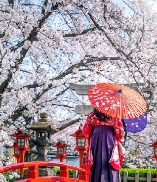 japan 4