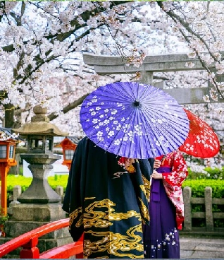 japan 6